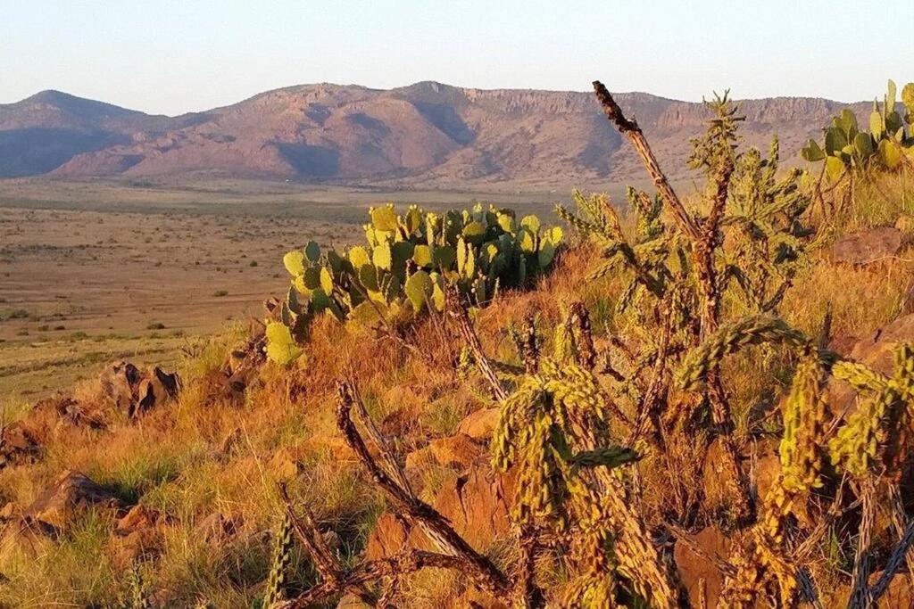 Casa de Agua - Cool Comfort with Nature to See and Hike