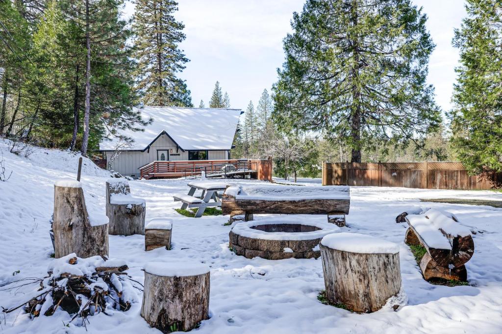 Murphys Cabin with Fire Pit in Natl Forest!