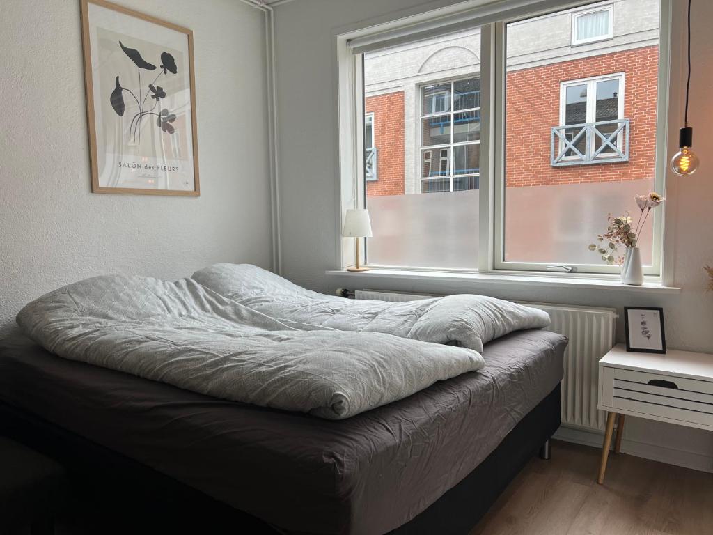 Cozy Flats Silkeborg - S1